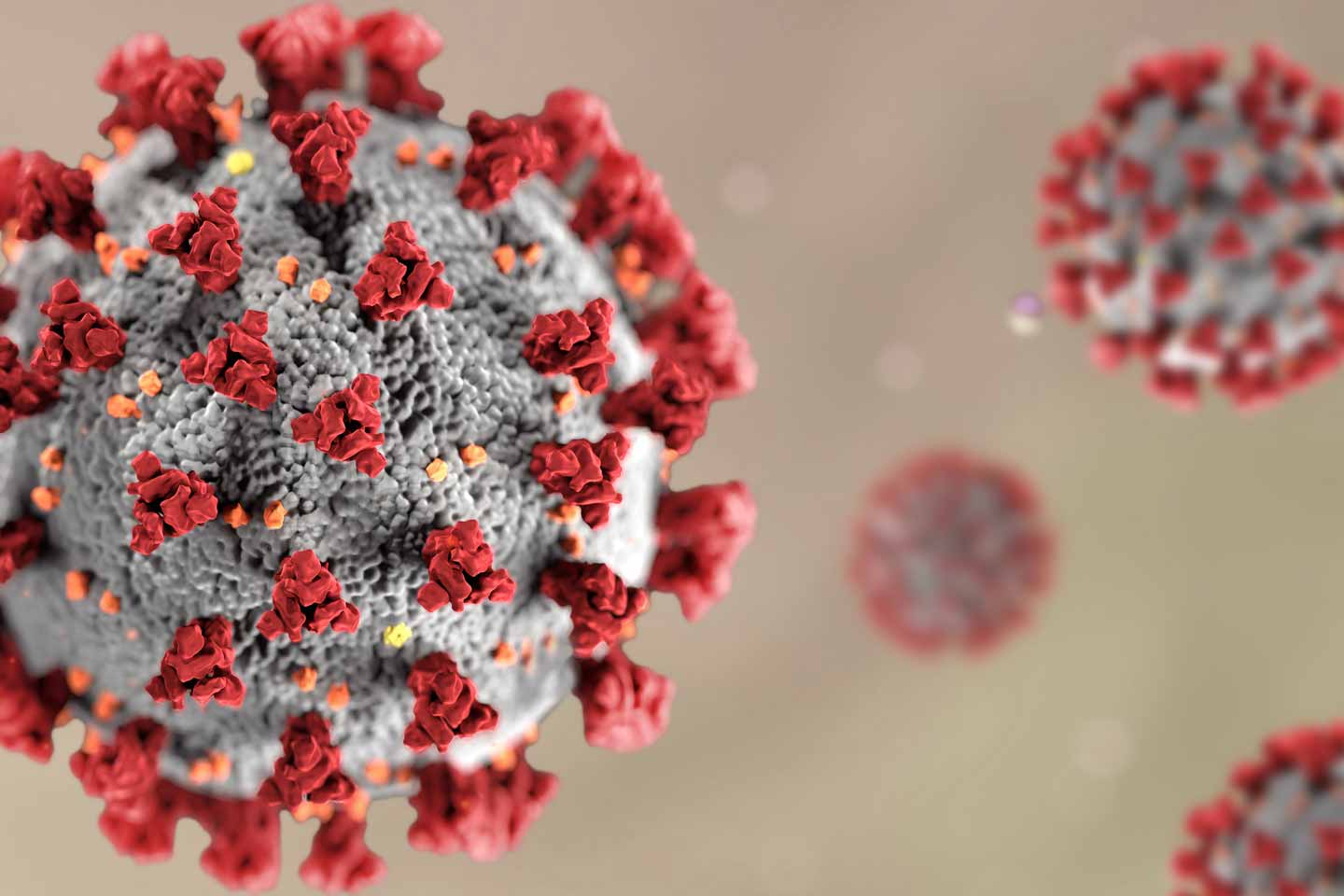 Coronavirus : Nouvelles orientations de la Commission européenne du 23 et 30 mai